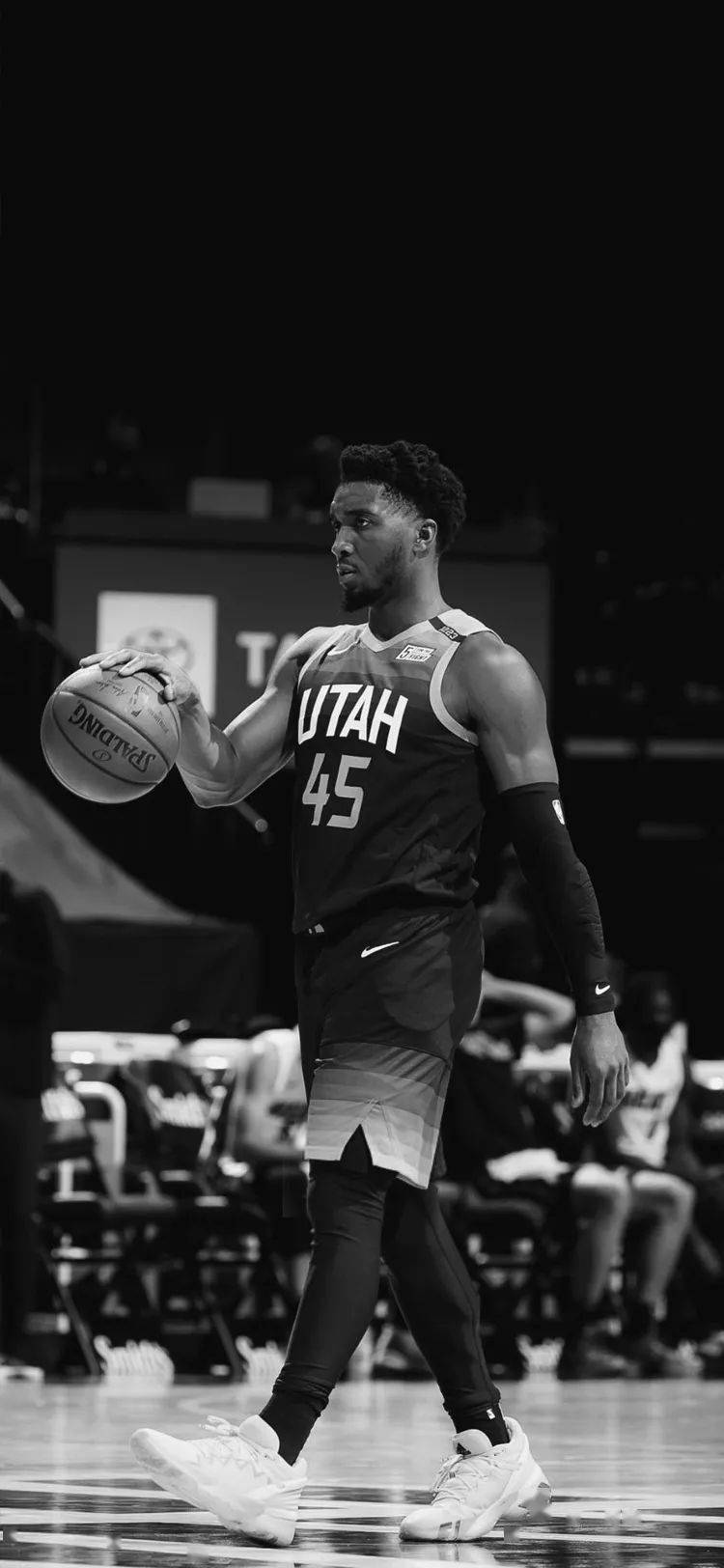 分说明了自 分说明了自